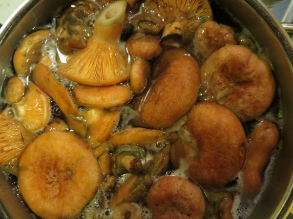 Lekkere gerechten worden gemaakt van saffraanmelkcapsules