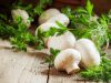 Descrierea ciupercilor champignon