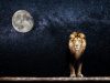 De betekenis van de maan in Leeuw