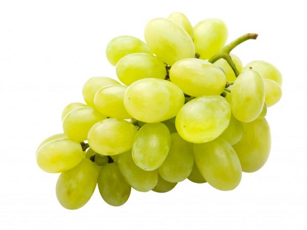 Zarnitsa grapes