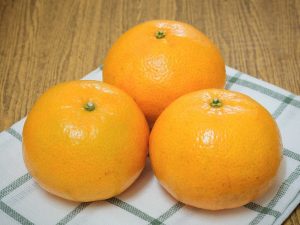 Sinaasappel wordt als een vrucht of bes beschouwd
