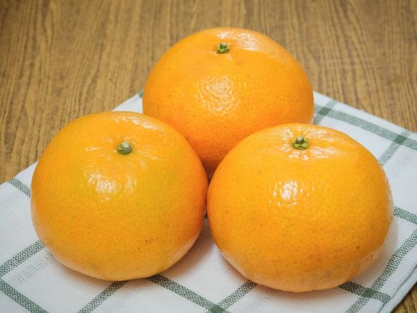 La naranja se considera una fruta o baya.