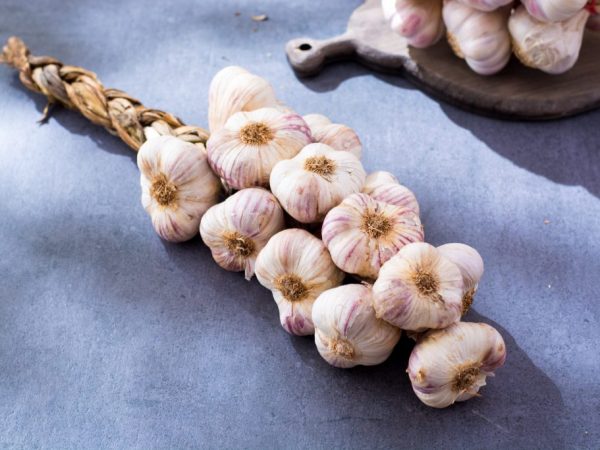 Ways to weave garlic braids