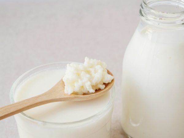 Las propiedades curativas de la seta de leche.