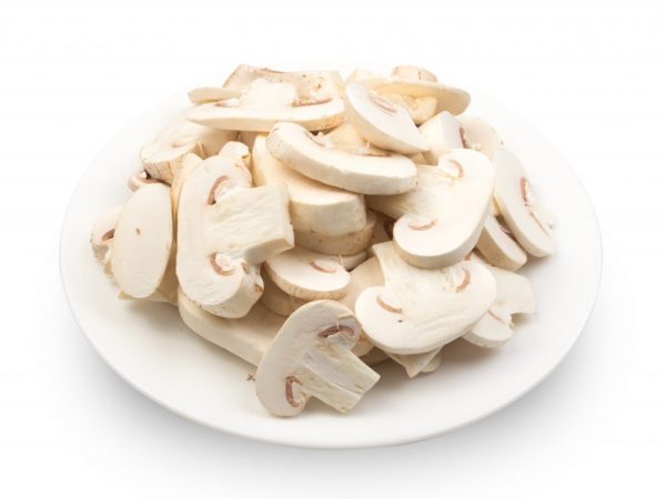 Syrové houby jsou vhodné pro dietní výživu