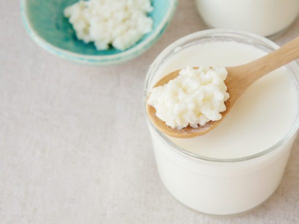 Beneficiile și daunele ciupercii de lapte