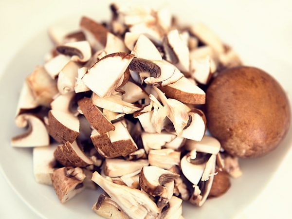 Chitine in de samenstelling van paddenstoelen