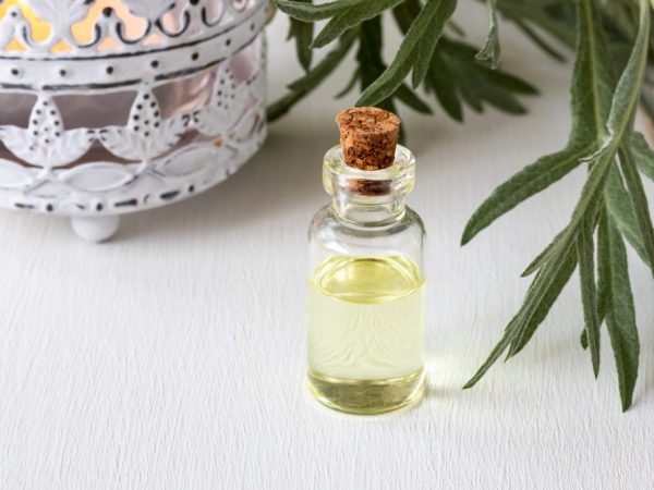 Olej z pelyňku se používá v kosmetologii