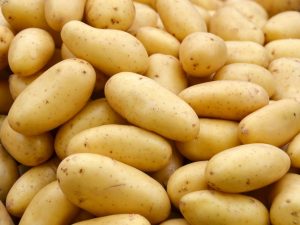Applicering av ett potatisdressingsmedel