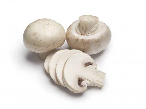 Mushrooms can be stored in the freezer for up to six months.