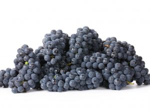 Kaloriinnehåll i svarta druvor