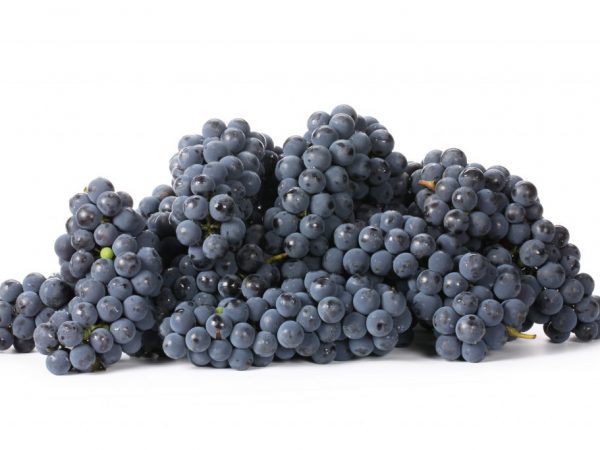 Calorie content of black grapes