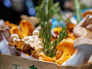Wat is het caloriegehalte van paddenstoelen