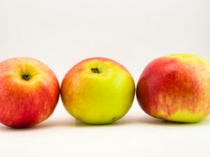 Pěstování jabloní Aport