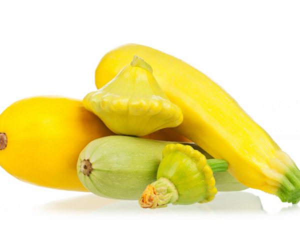 Skillnader mellan zucchini och squash