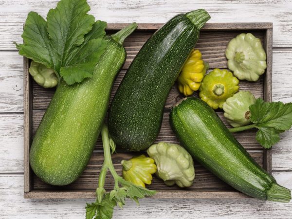 Las verduras se pueden almacenar congeladas hasta la primavera.