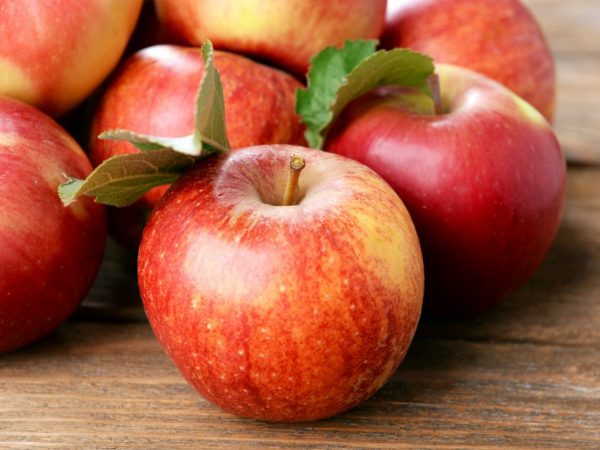 Zalévání jabloně není vůbec nutné