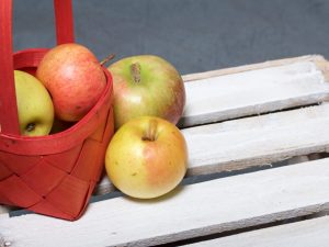 Odrůdové vlastnosti jabloně Korobovka
