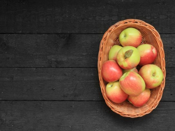 Jabloň přináší ovoce každý rok