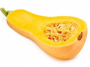 Varietal features of butternut squash Pearl