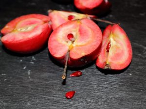 Cultivando un manzano Perlas rosas