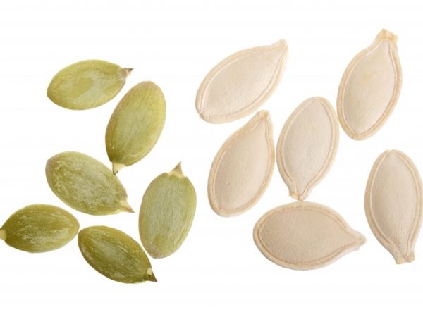 El uso de semillas de calabaza en el tratamiento de la prostatitis.