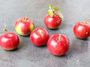 Beschrijving van de appelboomvariëteit Alesya