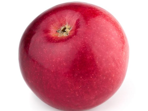 Περιγραφή της ποικιλίας μήλου Darunok
