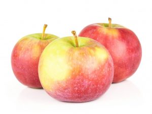 Pěstování jabloní Jonagold