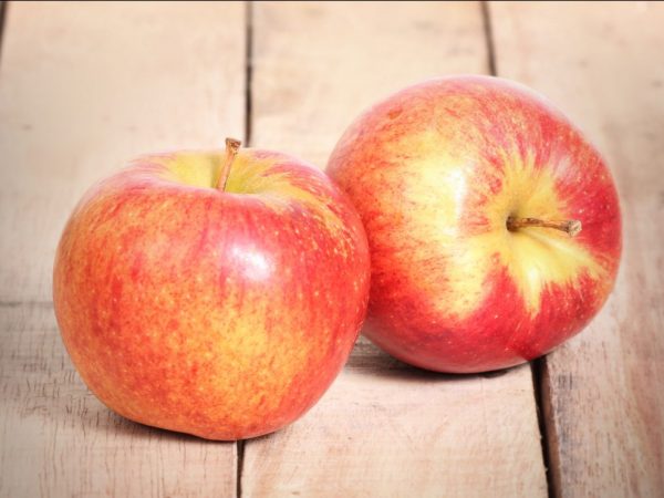 Las manzanas pueden variar en apariencia