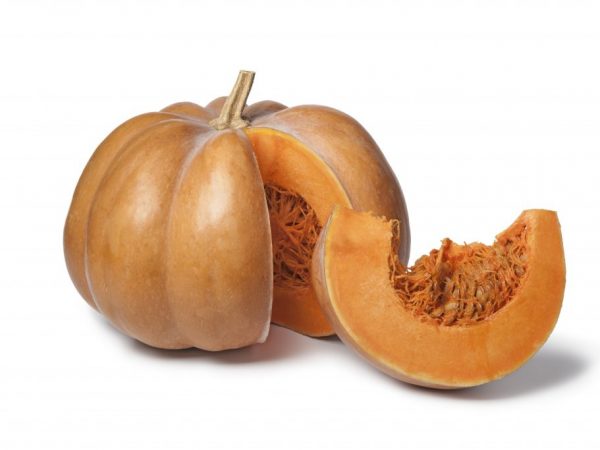 Popis pumpkin Muscat de Provence
