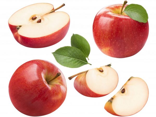 Prevence pro jabloň je nutností