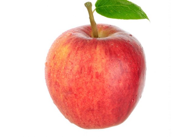 Stora äpplen med rätt vård