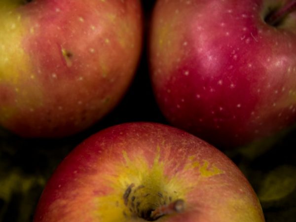 La poda de manzanas no afecta el rendimiento