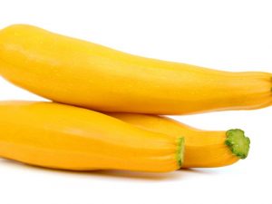 Växande gul zucchini