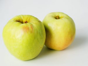 Varianter av Antonovka äppelträd