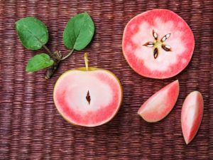Populära metoder för torkning av äpplen