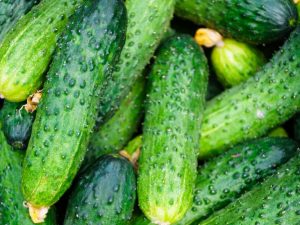 Kenmerken van de beste komkommersoorten voor 2019