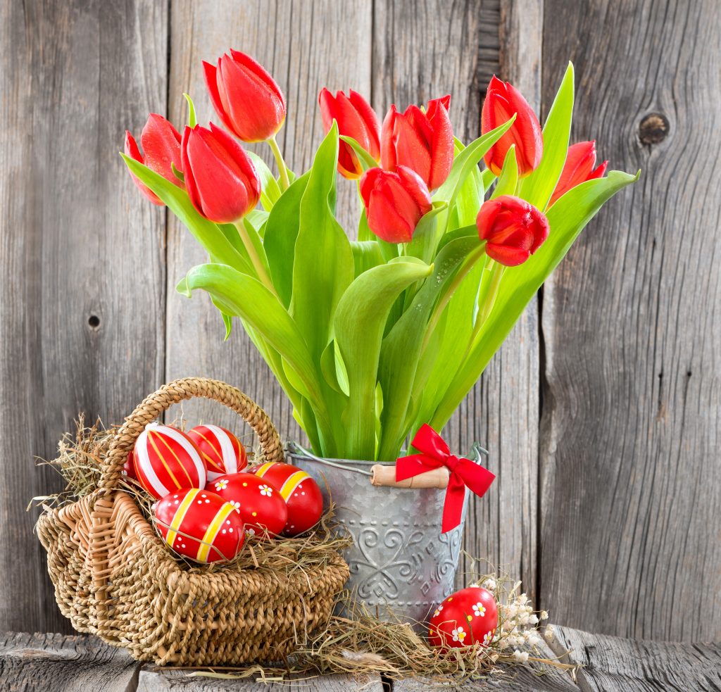 Jak skladovat tulipány
